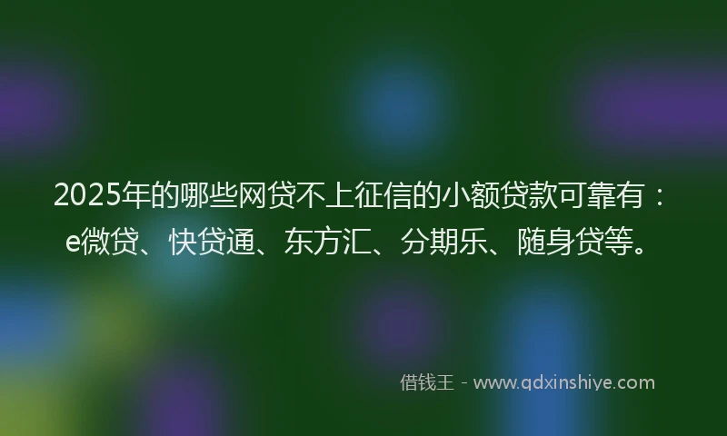 2025年的哪些网贷不上征信的小额贷款可靠有：e微贷、快贷通、东方汇、分期乐、随身贷等。
