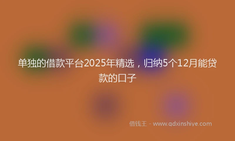 单独的借款平台2025年精选，归纳5个12月能贷款的口子