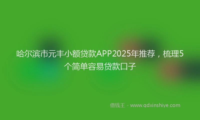 哈尔滨市元丰小额贷款APP2025年推荐，梳理5个简单容易贷款口子