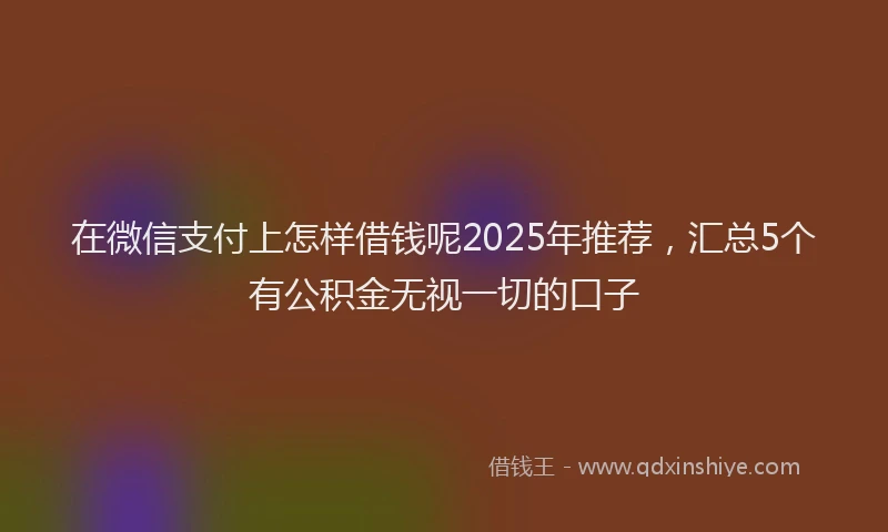 在微信支付上怎样借钱呢2025年推荐，汇总5个有公积金无视一切的口子