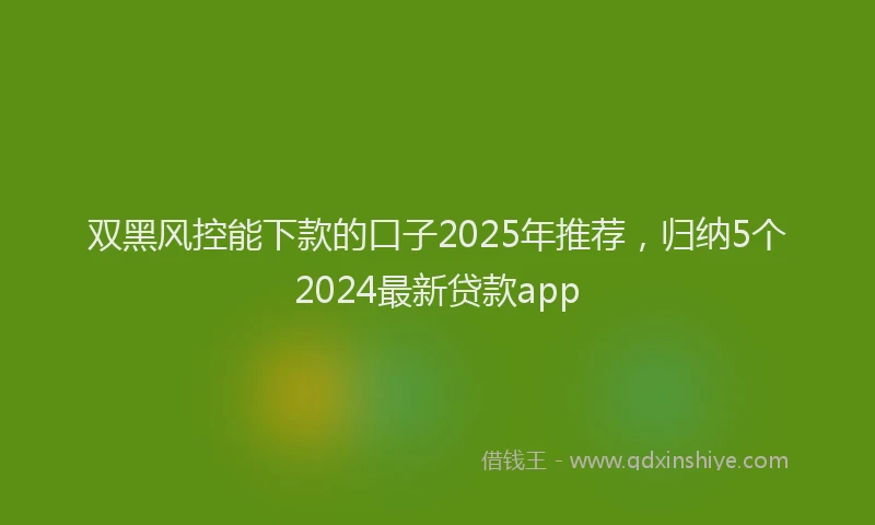双黑风控能下款的口子2025年推荐，归纳5个2024最新贷款app