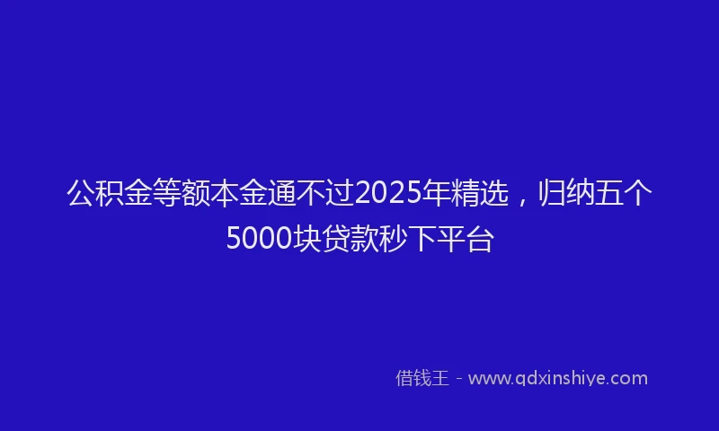 公积金等额本金通不过2025年精选，归纳五个5000块贷款秒下平台