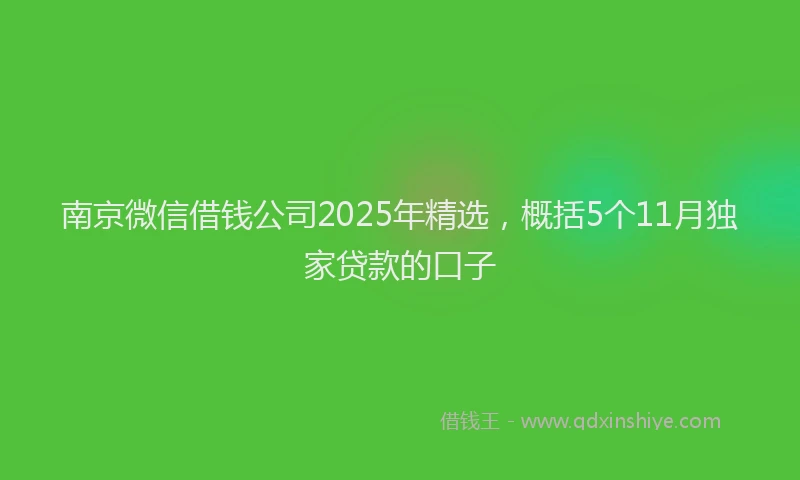 南京微信借钱公司2025年精选，概括5个11月独家贷款的口子