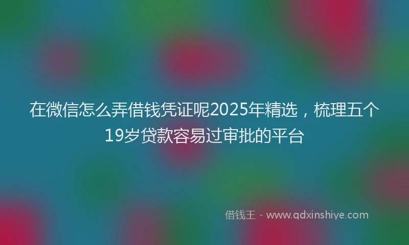 在微信怎么弄借钱凭证呢2025年精选，梳理五个19岁贷款容易过审批的平台