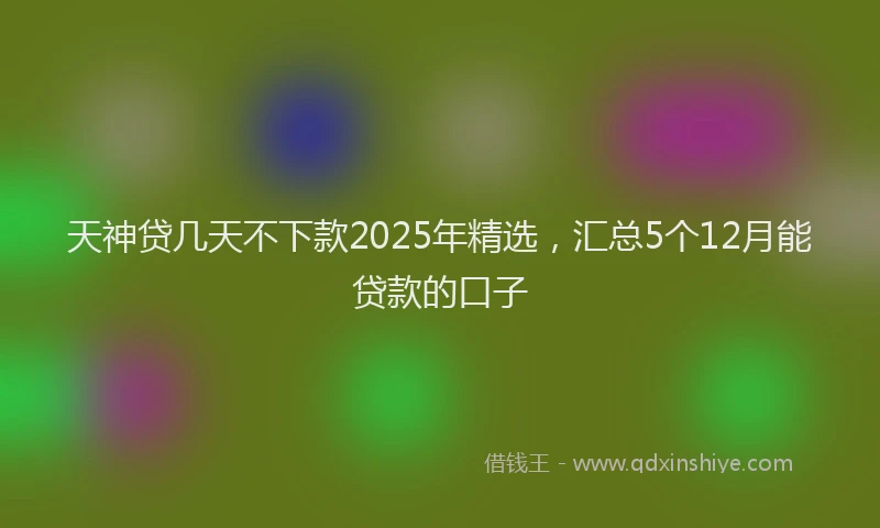 天神贷几天不下款2025年精选，汇总5个12月能贷款的口子