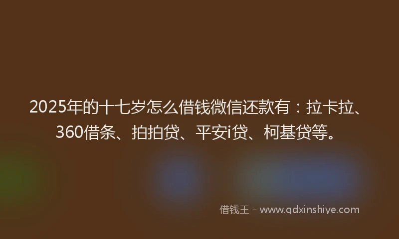 2025年的十七岁怎么借钱微信还款有：拉卡拉、360借条、拍拍贷、平安i贷、柯基贷等。