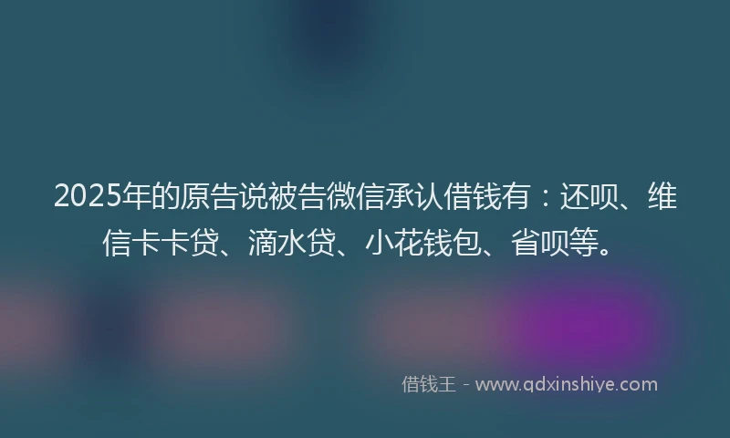 2025年的原告说被告微信承认借钱有：还呗、维信卡卡贷、滴水贷、小花钱包、省呗等。