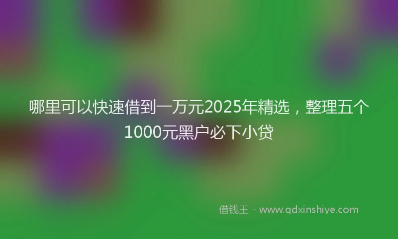 哪里可以快速借到一万元2025年精选，整理五个1000元黑户必下小贷