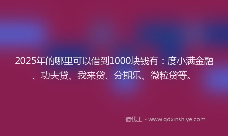 2025年的哪里可以借到1000块钱有：度小满金融、功夫贷、我来贷、分期乐、微粒贷等。