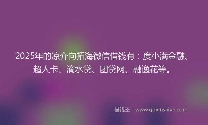 2025年的凉介向拓海微信借钱有：度小满金融、超人卡、滴水贷、团贷网、融逸花等。