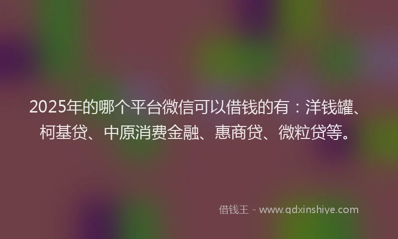 2025年的哪个平台微信可以借钱的有：洋钱罐、柯基贷、中原消费金融、惠商贷、微粒贷等。