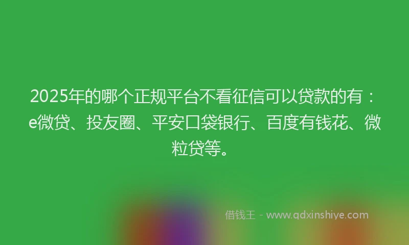 2025年的哪个正规平台不看征信可以贷款的有：e微贷、投友圈、平安口袋银行、百度有钱花、微粒贷等。