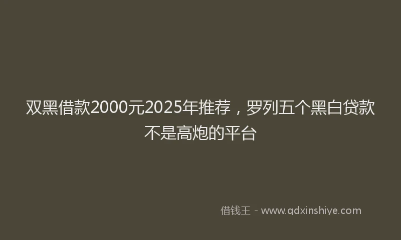 双黑借款2000元2025年推荐，罗列五个黑白贷款不是高炮的平台