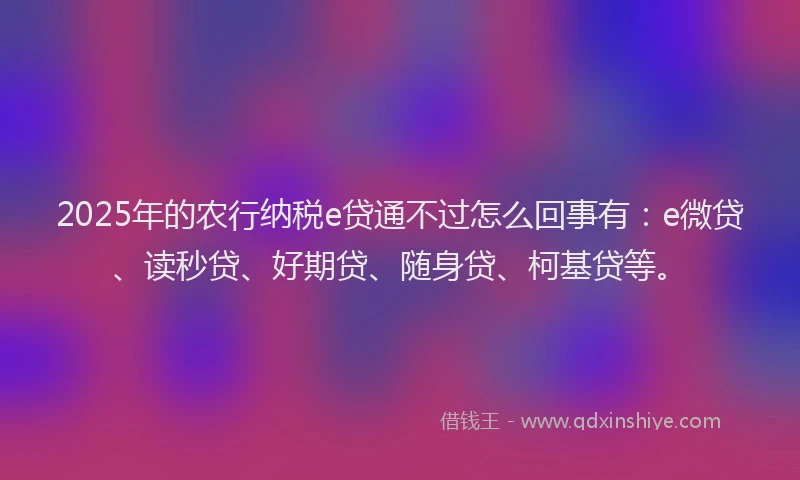 2025年的农行纳税e贷通不过怎么回事有：e微贷、读秒贷、好期贷、随身贷、柯基贷等。