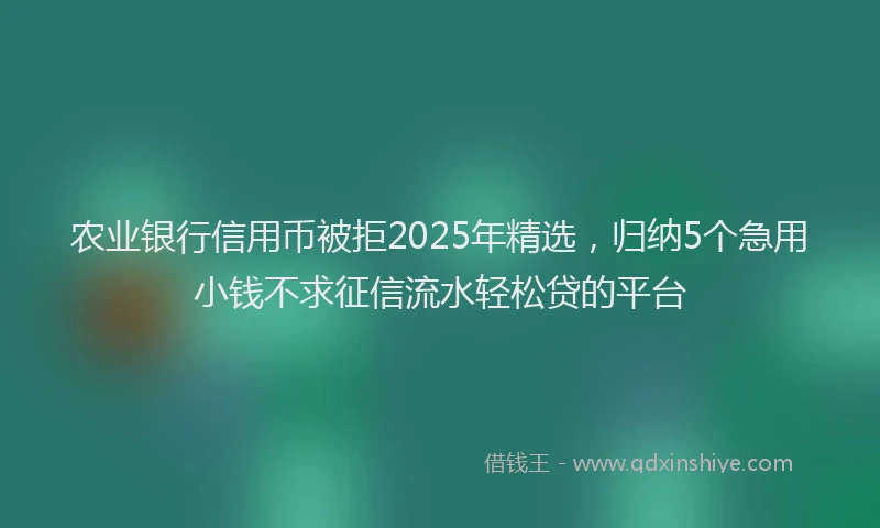 农业银行信用币被拒2025年精选，归纳5个急用小钱不求征信流水轻松贷的平台