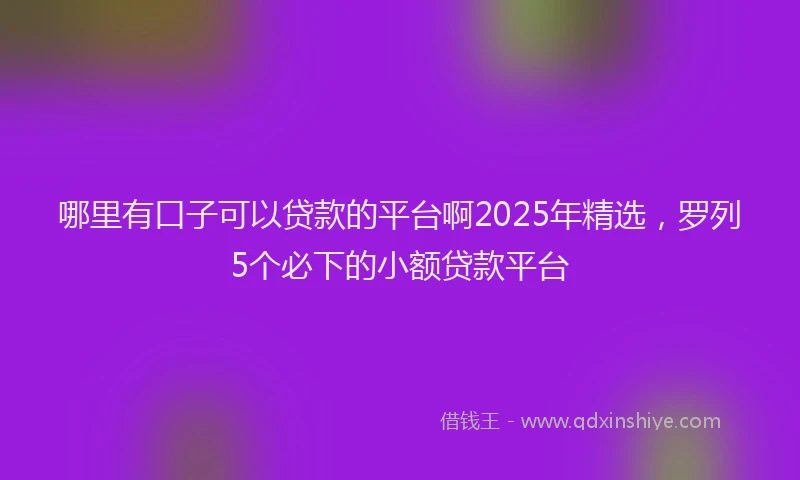 哪里有口子可以贷款的平台啊2025年精选，罗列5个必下的小额贷款平台