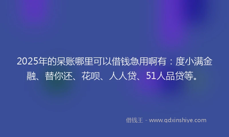 2025年的呆账哪里可以借钱急用啊有：度小满金融、替你还、花呗、人人贷、51人品贷等。