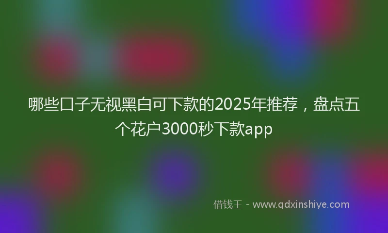 哪些口子无视黑白可下款的2025年推荐，盘点五个花户3000秒下款app