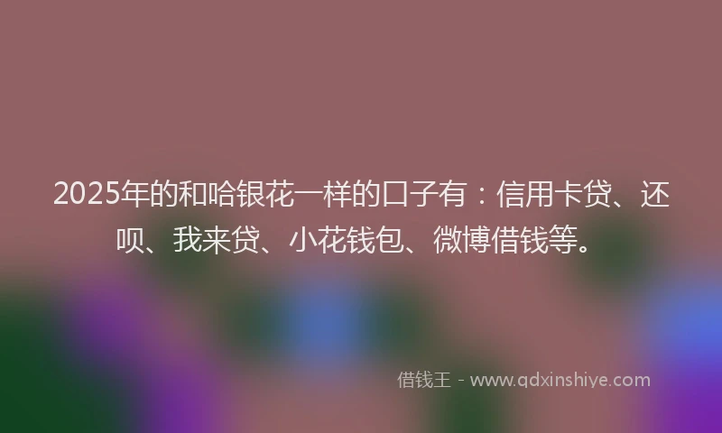 2025年的和哈银花一样的口子有：信用卡贷、还呗、我来贷、小花钱包、微博借钱等。