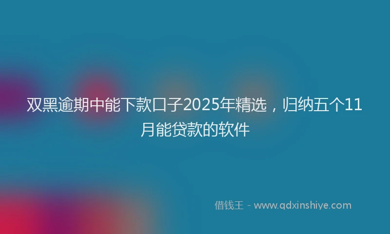 双黑逾期中能下款口子2025年精选，归纳五个11月能贷款的软件
