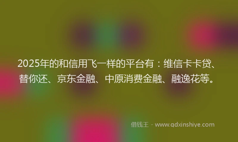 2025年的和信用飞一样的平台有：维信卡卡贷、替你还、京东金融、中原消费金融、融逸花等。