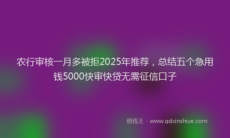 农行审核一月多被拒2025年推荐，总结五个急用钱5000快审快贷无需征信口子