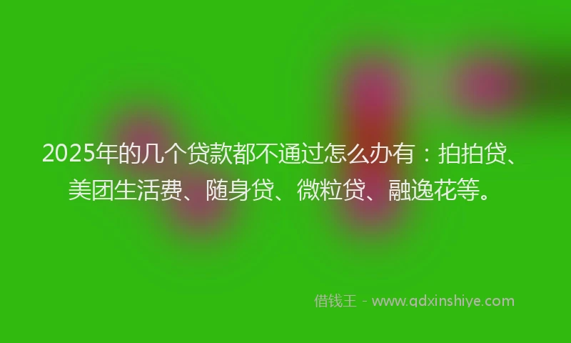 2025年的几个贷款都不通过怎么办有：拍拍贷、美团生活费、随身贷、微粒贷、融逸花等。