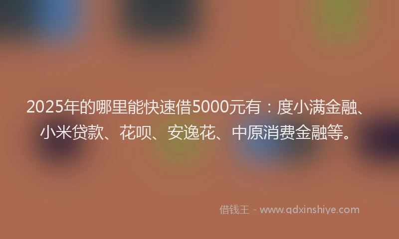 2025年的哪里能快速借5000元有：度小满金融、小米贷款、花呗、安逸花、中原消费金融等。