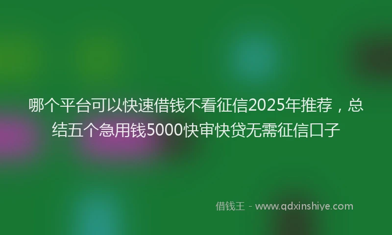 哪个平台可以快速借钱不看征信2025年推荐，总结五个急用钱5000快审快贷无需征信口子