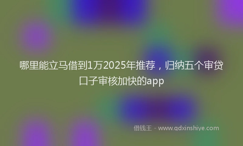 哪里能立马借到1万2025年推荐，归纳五个审贷口子审核加快的app