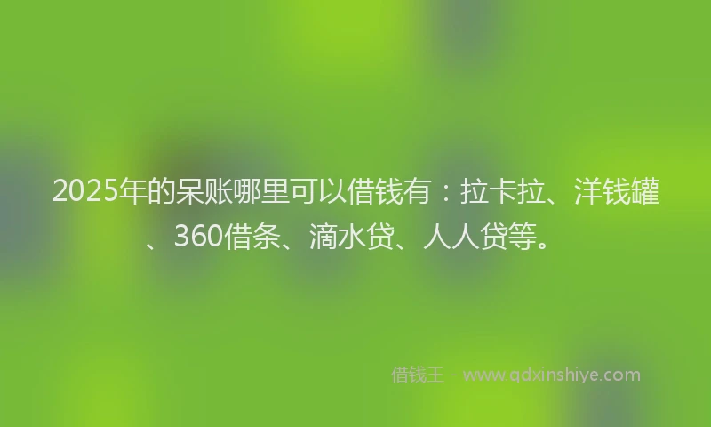 2025年的呆账哪里可以借钱有：拉卡拉、洋钱罐、360借条、滴水贷、人人贷等。
