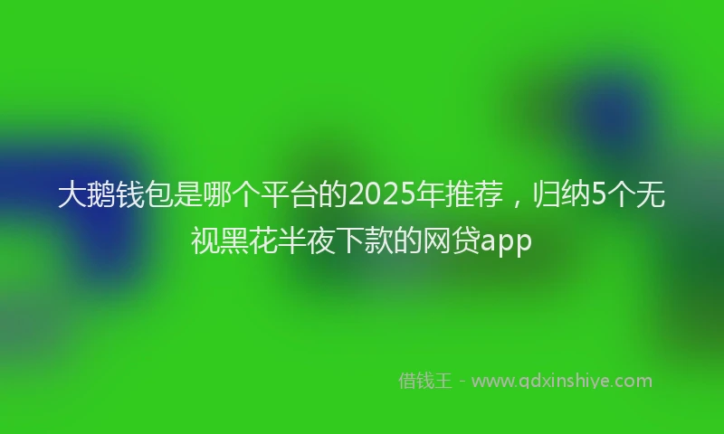 大鹅钱包是哪个平台的2025年推荐，归纳5个无视黑花半夜下款的网贷app