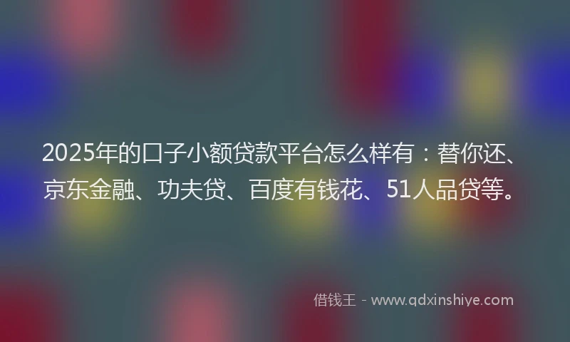 2025年的口子小额贷款平台怎么样有：替你还、京东金融、功夫贷、百度有钱花、51人品贷等。