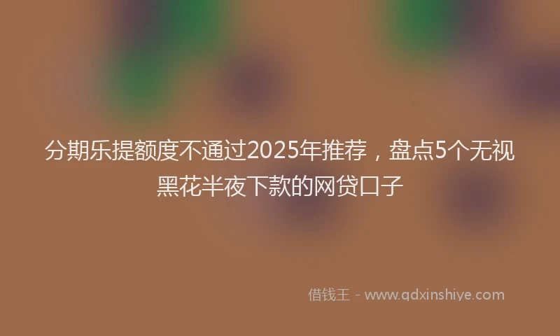 分期乐提额度不通过2025年推荐，盘点5个无视黑花半夜下款的网贷口子