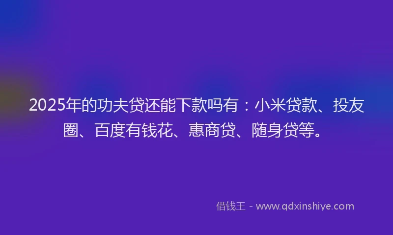 2025年的功夫贷还能下款吗有：小米贷款、投友圈、百度有钱花、惠商贷、随身贷等。