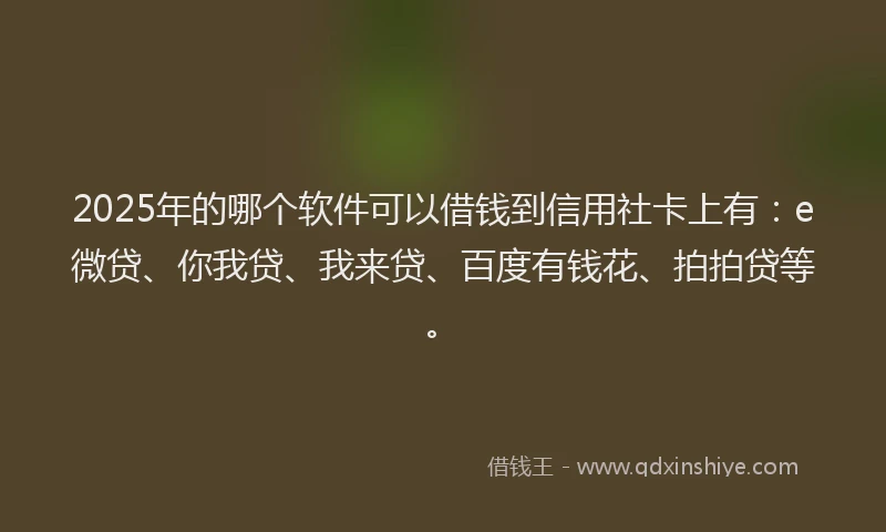 2025年的哪个软件可以借钱到信用社卡上有：e微贷、你我贷、我来贷、百度有钱花、拍拍贷等。