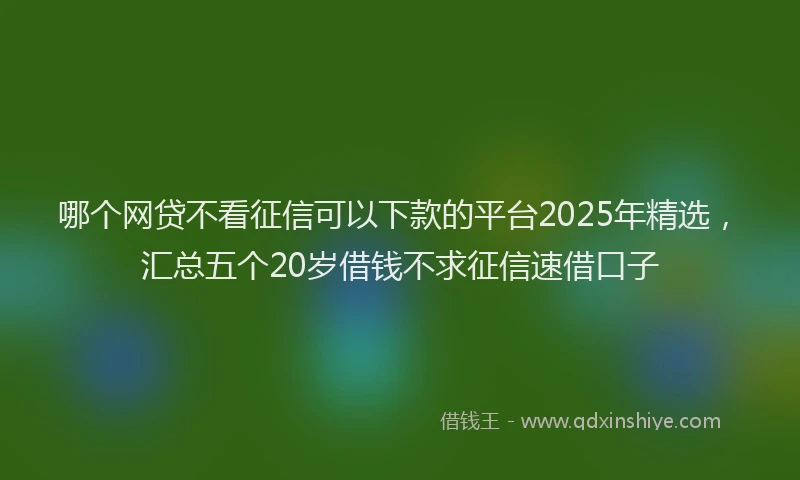 哪个网贷不看征信可以下款的平台2025年精选，汇总五个20岁借钱不求征信速借口子