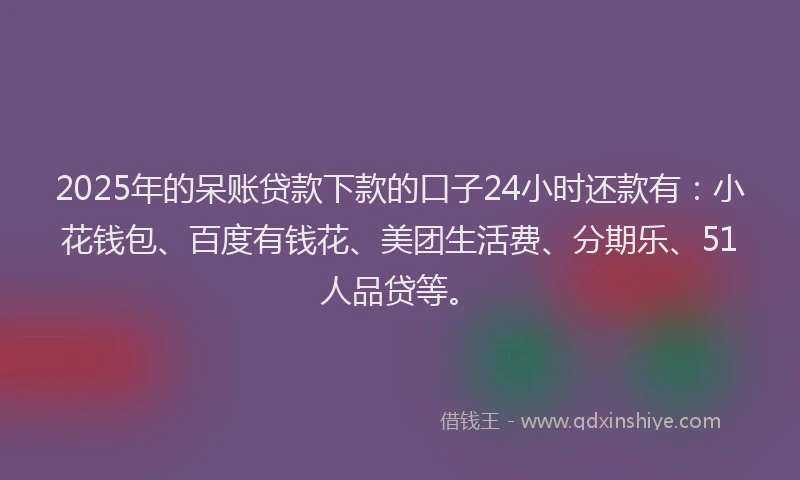 2025年的呆账贷款下款的口子24小时还款有：小花钱包、百度有钱花、美团生活费、分期乐、51人品贷等。