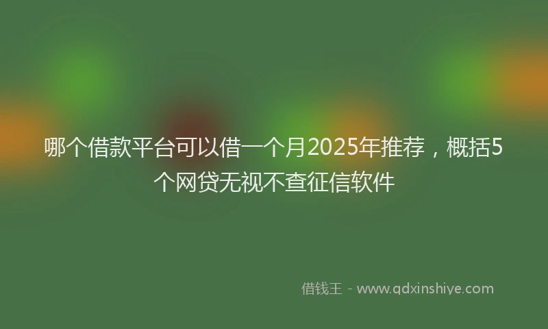 哪个借款平台可以借一个月2025年推荐，概括5个网贷无视不查征信软件
