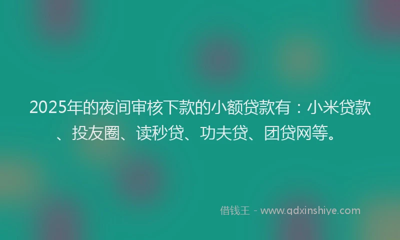2025年的夜间审核下款的小额贷款有：小米贷款、投友圈、读秒贷、功夫贷、团贷网等。