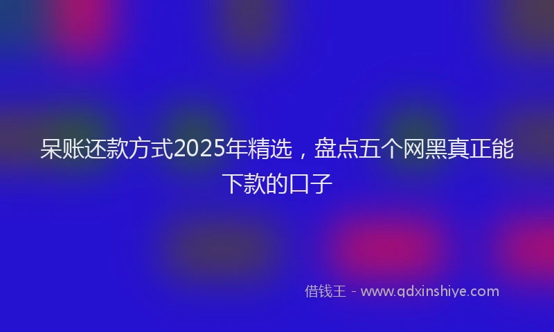 呆账还款方式2025年精选，盘点五个网黑真正能下款的口子