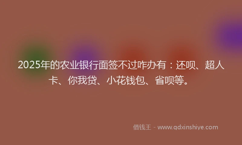 2025年的农业银行面签不过咋办有：还呗、超人卡、你我贷、小花钱包、省呗等。