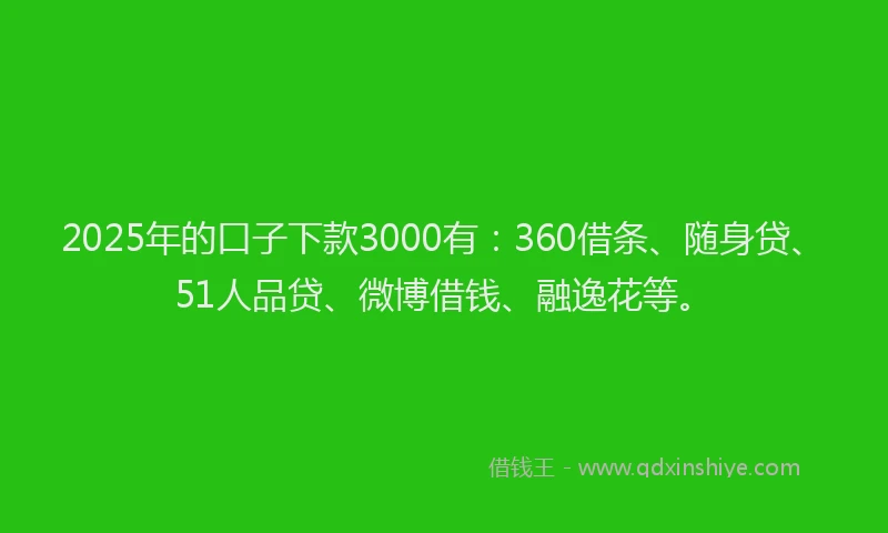 2025年的口子下款3000有：360借条、随身贷、51人品贷、微博借钱、融逸花等。