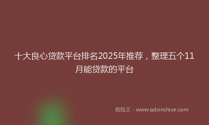 十大良心贷款平台排名2025年推荐，整理五个11月能贷款的平台