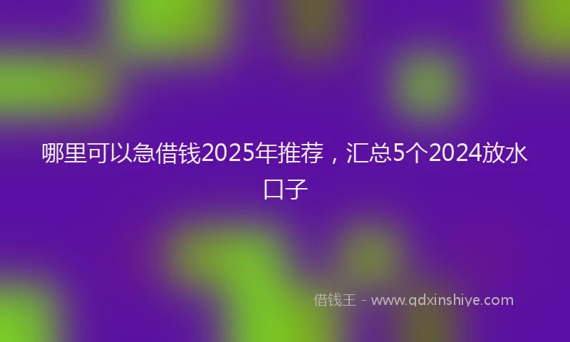 哪里可以急借钱2025年推荐，汇总5个2024放水口子