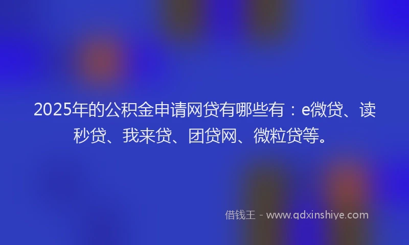 2025年的公积金申请网贷有哪些有：e微贷、读秒贷、我来贷、团贷网、微粒贷等。