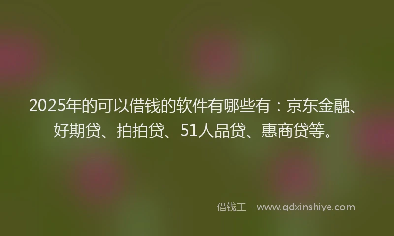 2025年的可以借钱的软件有哪些有：京东金融、好期贷、拍拍贷、51人品贷、惠商贷等。