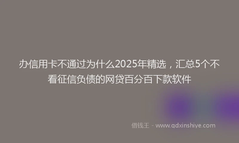 办信用卡不通过为什么2025年精选，汇总5个不看征信负债的网贷百分百下款软件