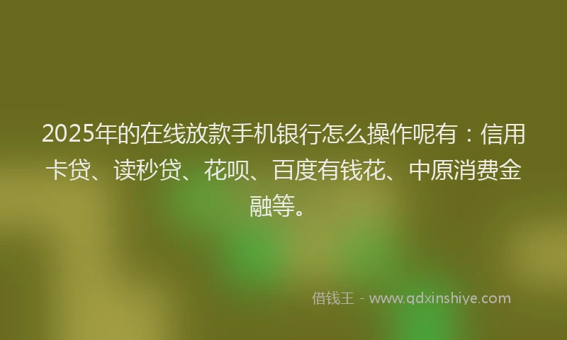2025年的在线放款手机银行怎么操作呢有：信用卡贷、读秒贷、花呗、百度有钱花、中原消费金融等。