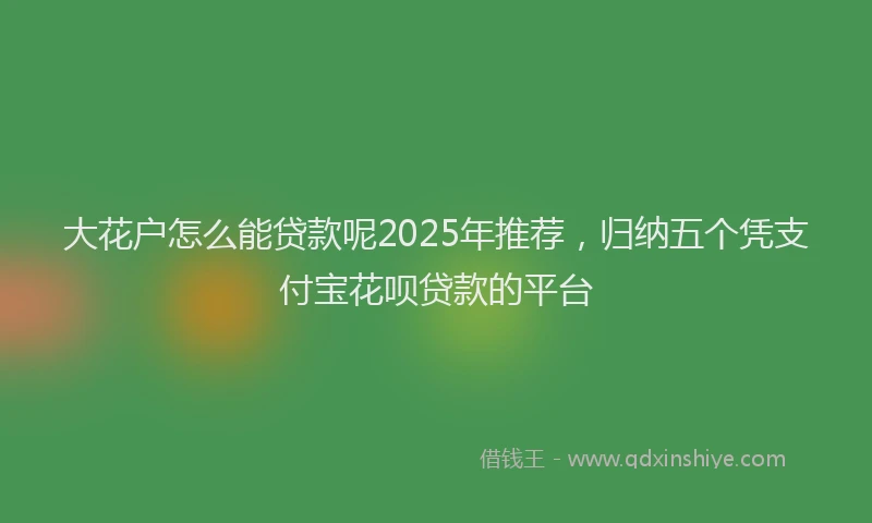 大花户怎么能贷款呢2025年推荐，归纳五个凭支付宝花呗贷款的平台